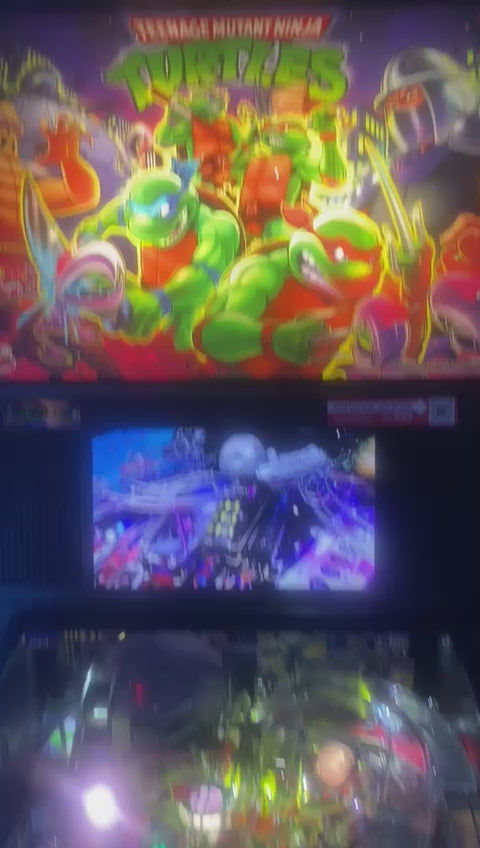 Teenage Mutant Ninja Turtles Premium